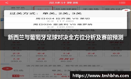 新西兰与葡萄牙足球对决全方位分析及赛前预测